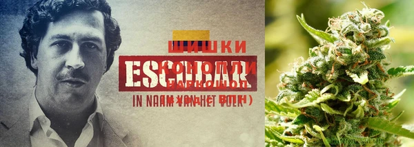мдма Богородицк