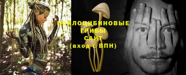 мдма Богородицк
