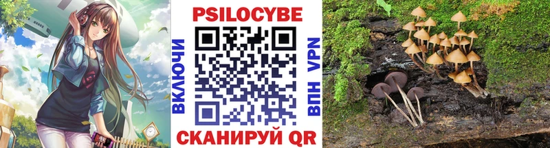 Псилоцибиновые грибы прущие грибы  kraken сайт  Михайловка 